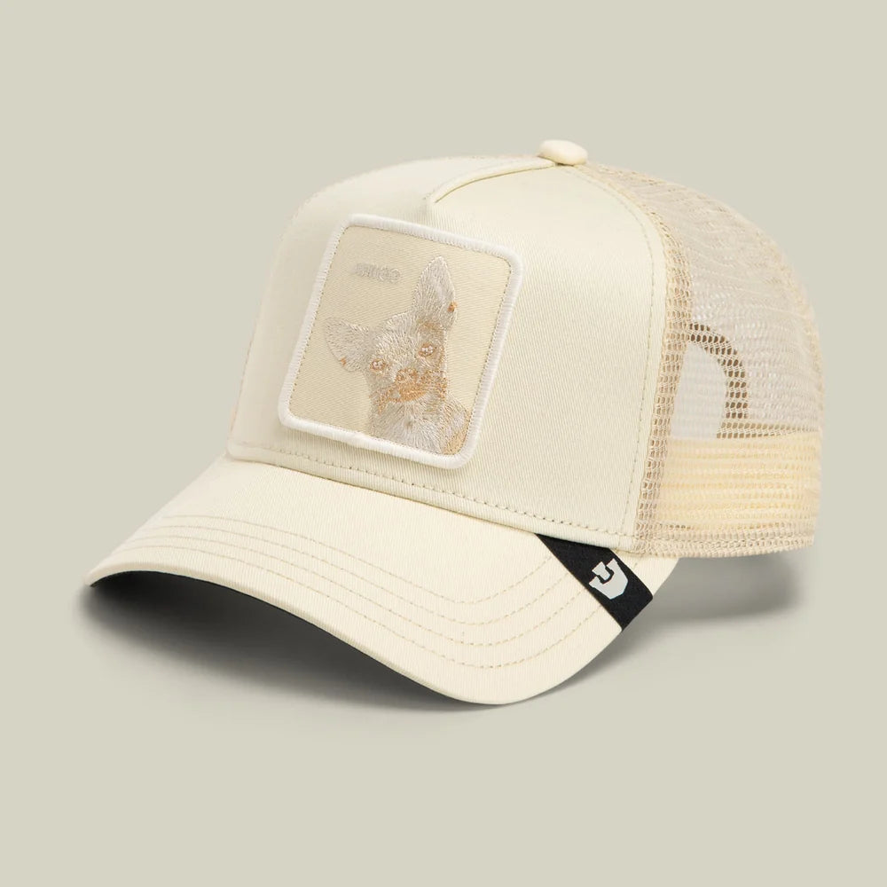 Goorin Bros Tonal Amigo Cao