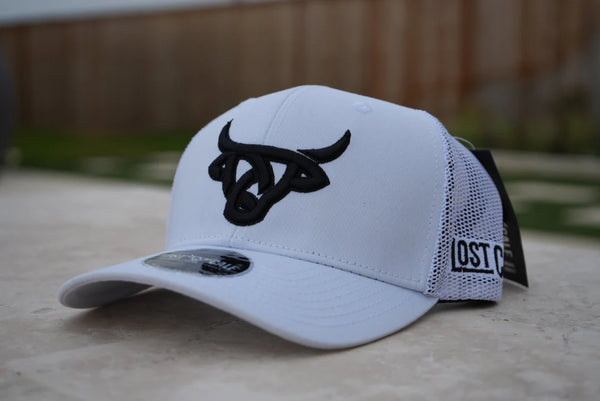 Lost Calf Chianina