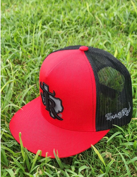 Texas Ranch ~Black Silver Cap