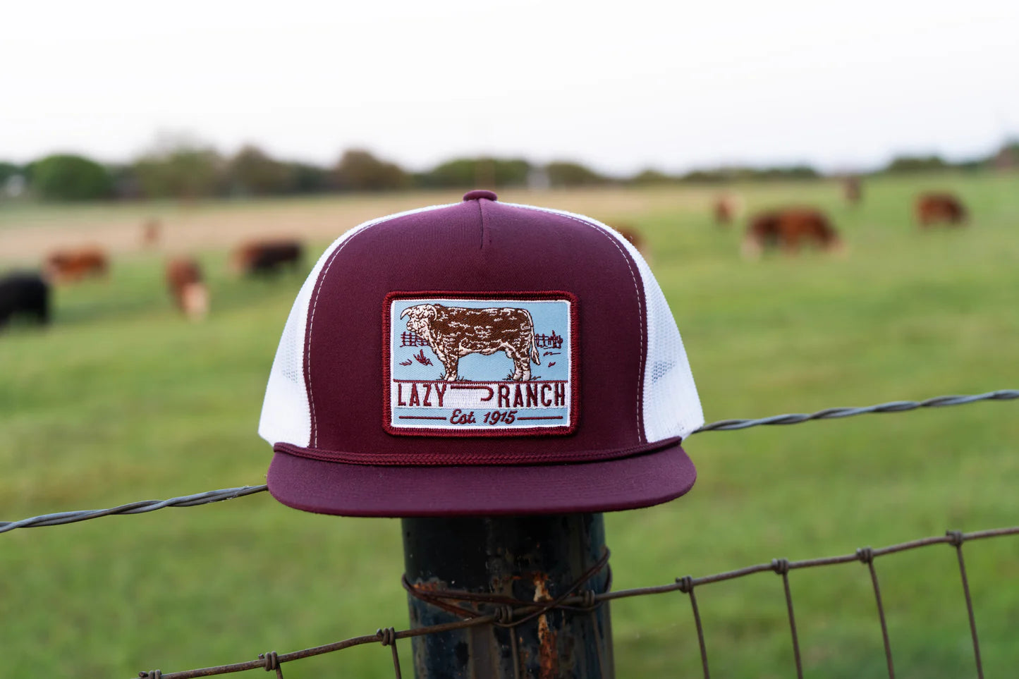 LAZY J RANCH MAROON & WHITE BLUE BULL TRAP CLASSIC ROPE TRUCKER HAT
MARWHT4-BT-BLU
